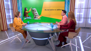 «Всё к лучшему» в Петербурге появился онлайн-гид по добрым делам для всех желающих