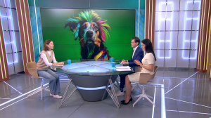 Красивее хозяйки: зачем собакам краска для шерсти и в чём кроется опасность «модных трендов» для питомцев