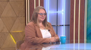 Как не стать жертвой мошенников при аренде дачи?