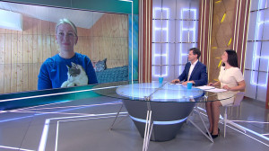 Муся — везучая и мужественная: как чувствует себя в новой семье теперь самая любимая кошка всей страны