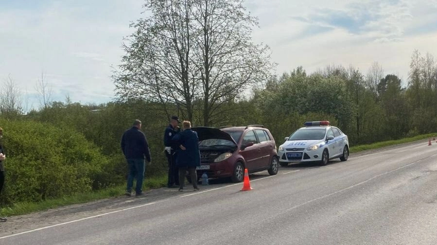 Под Петербургом водитель погиб, выйдя с обочины на дорогу - tvspb.ru