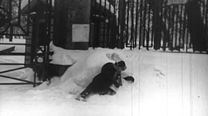 Мгновение Победы. Холод