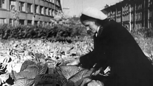 Мгновение Победы. Огороды в Ленинграде