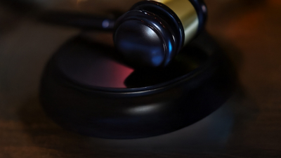 Бориса Акунина* заочно приговорили к 15 годам строгого режима