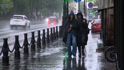 В Петербурге 23 мая ветер усилится до 15 м/с