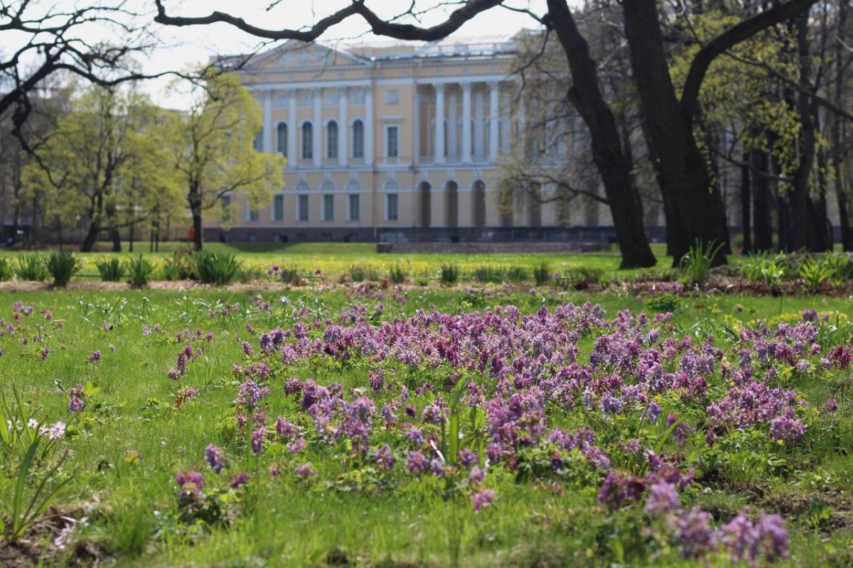 Летний и Михайловский сады открыли для посетителей - tvspb.ru