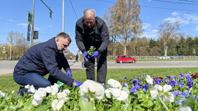 На углу проспекта Непокорённых и улицы Бутлерова посадили цветочную композицию к 80-летию Победы