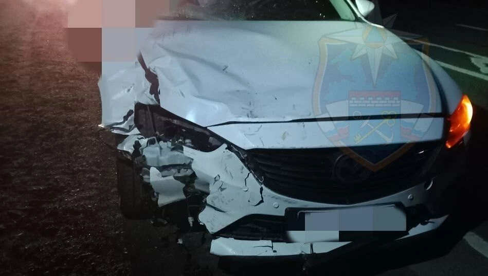 Водитель мопеда врезался в авто: мужчина скончался на месте - tvspb.ru