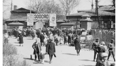 Ленинградский зоопарк рассказал о своих тяжелых, но важных страницах истории времен войны