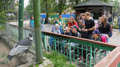 В Петербурге пройдет инклюзивный фестиваль «Зоопарк – территория добра»