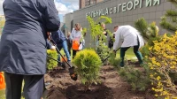 В саду больницы Святого Георгия посадили новые деревья в честь Дня медсестры
