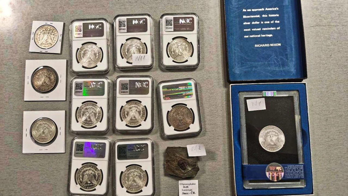 Серебряные монеты и трилобит привез россиян для личной коллекции из Лос-Анджелеса: его остановили на таможне - tvspb.ru