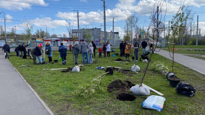 На Ржевской площади появился яблоневый «Сад памяти»