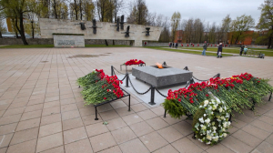 «Журавли» из бронзы в отблеске Вечного огня