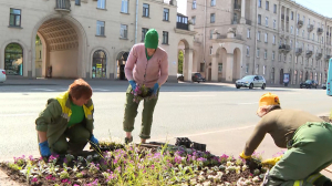 В Петербурге за неделю высадили более 500 тысяч цветов