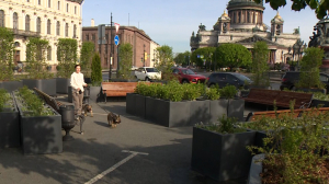 Цветущий сад на Синем мосту