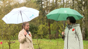 Цветы Победы: новые сорта сирени пополнят сегодня коллекцию парка Лесотехнического университета