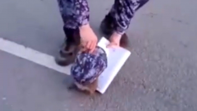 Росгвардейцы спасли ёжика от гибели под колесами машин во Всеволожске