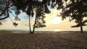 Музею «Келломяки–Комарово» исполнилось 20 лет. Этому событию посвящена юбилейная выставка, рассказывающая об истории известного пригорода Северной столицы — Комарово