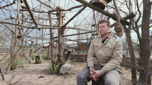 Мы — петербуржцы. Техник-декоратор, начальник отдела «Развитие» Ленинградского зоопарка Андрей Сулоев