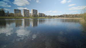 Не надо мусорить в чужом доме: где зимуют раки и другие обитатели экосистемы Петербурга