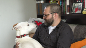 Общение с собакой — это умение коммуницировать с миром: мудрая и прекрасная Чара доктора филологических наук Валерия Ефремова