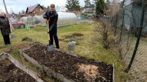 Огородный фитнес: как грядки вскопать и спину не повредить
