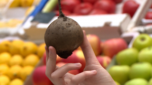 Подарок Аполлона и лекарство Гиппократа: польза без ограничений в самой обычной свёкле