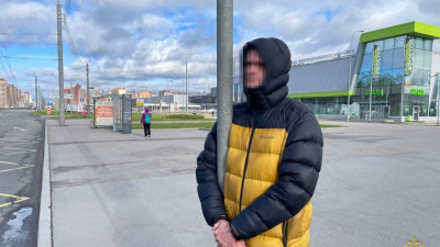 Против нетрезвого водителя, остановленного на Богатырском проспекте, возбудили дело за дачу взятки