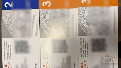 Петербургская полиция задержала двух братьев, незаконно торговавших билетами на «Алые паруса»