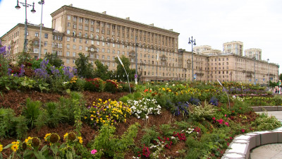 На Московской площади ко Дню России открыли новый сад-трансформер