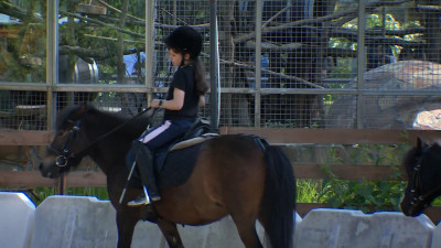 В пони-клубе на базе Ленинградского зоопарка маленьких горожан обучат верховой езде и уходу за лошадьми