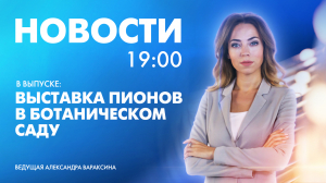 Новости Петербурга к 19:00