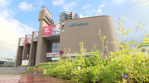 День молодежи в Выборгском районе