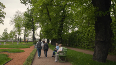 Дожди, грозы и +23 градуса: какая погода ждет петербуржцев 5 июня