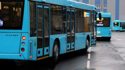 Автобусный парк Петербурга получит 293 новых дизельных автобуса