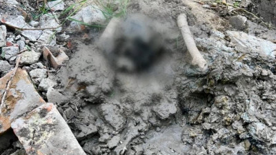 Работники «Водоканала» на улице Вавилова откопали череп в ящике, похожем на гроб