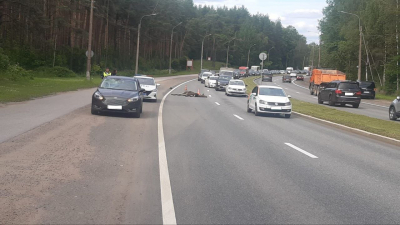 На въезде в Сестрорецк сбили лосёнка