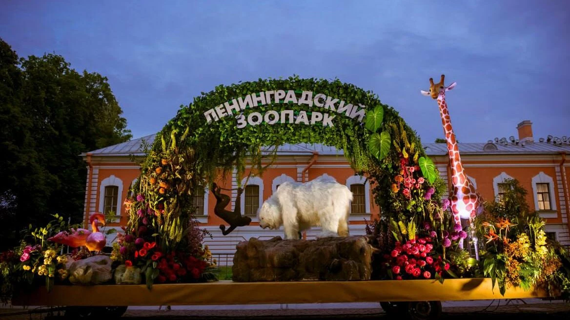 В Петербурге выбрали лучшую цветочную платформу на Фестивале цветов - tvspb.ru