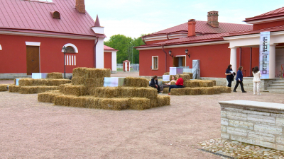 В Царском Селе создали «КриптоФерму»: что можно увидеть на выставке