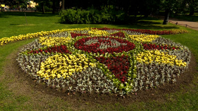 Как проходит фестиваль цветов, приуроченный к 80-летию Великой Победы