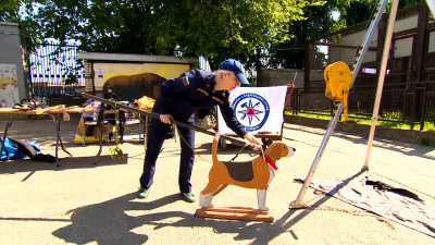 В Ленинградском зоопарке проходит фестиваль «Территория безопасности»