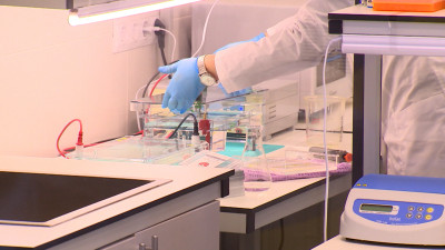 В Петербурге создадут инновационное производство биомедицинских продуктов для лечения онкозаболеваний