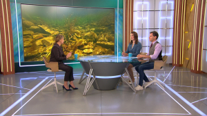 Какие опасности подстерегают нас во время купания?