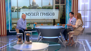 Крупнейший в Европе музей грибов открывается в Петербурге