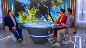 Как помочь птенцу, который выпал из гнезда?