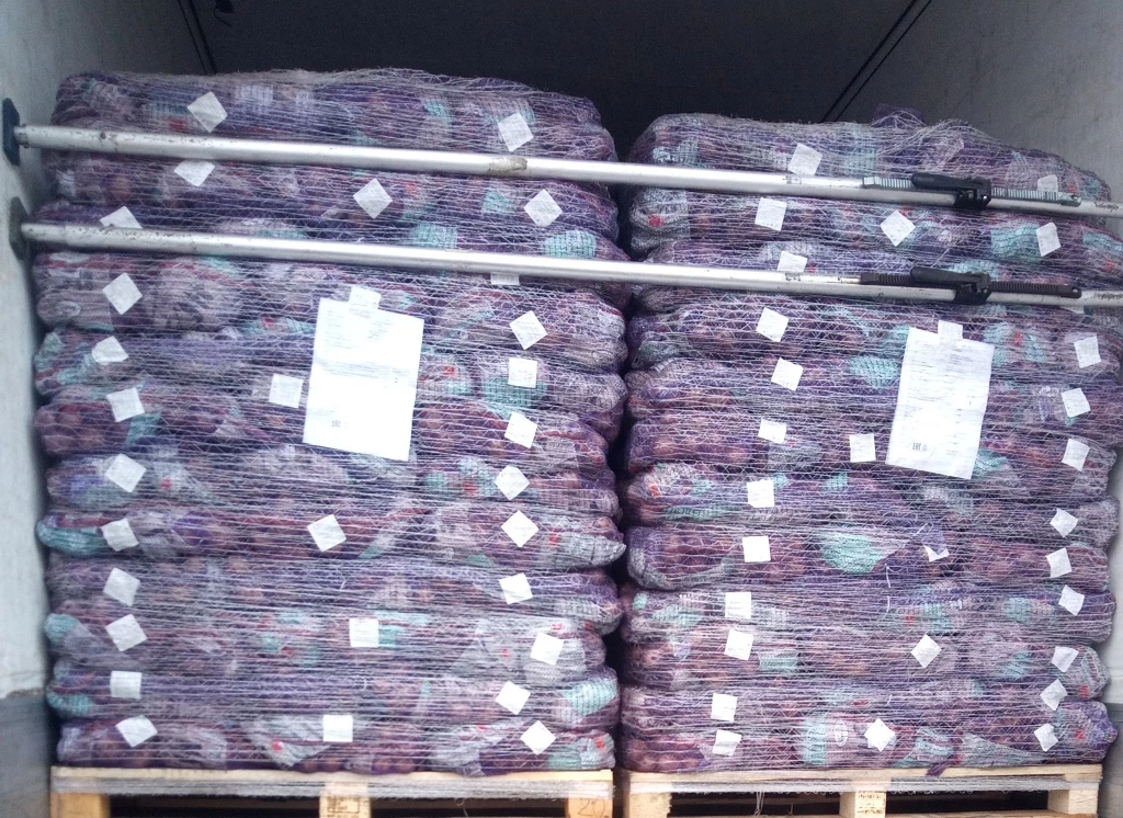 275 тонн египетского картофеля не пустили в Петербург из-за вируса мозаики пепино - tvspb.ru