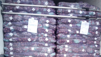 275 тонн египетского картофеля не пустили в Петербург из-за вируса мозаики пепино