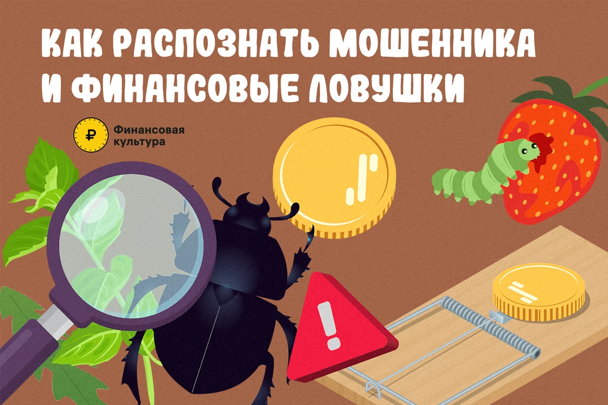 Одноклассники и Банк России помогут пользователям старшего поколения повысить уровень финансовой грамотности - tvspb.ru