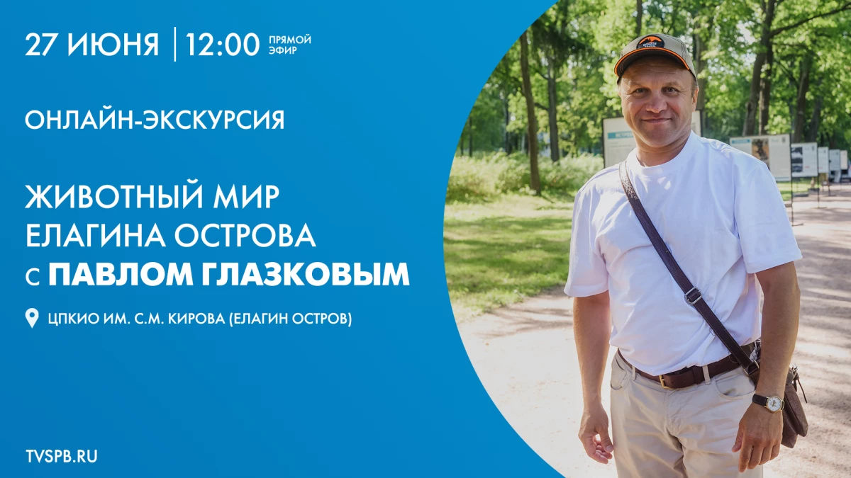 Смотрите прямо сейчас онлайн-трансляцию экскурсии с Павлом Глазковым - tvspb.ru